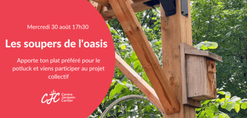 L'oasis, le jardin communautaire du CJC